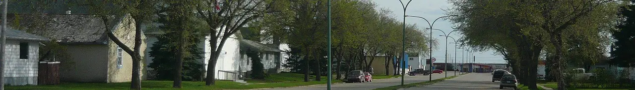 Main Street looking south, 2010